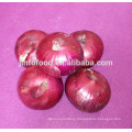 Fresh red onion